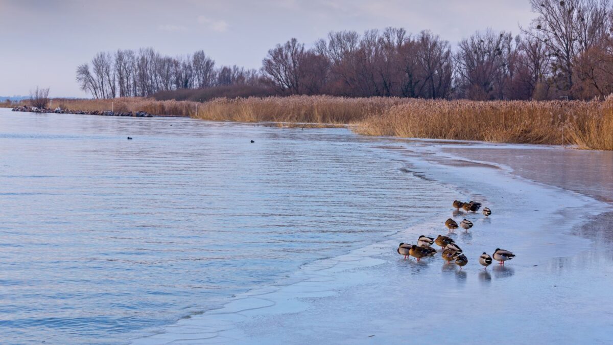 Öt konkrét ötlet arra, hogy mit csinálj télen a Balatonon #4