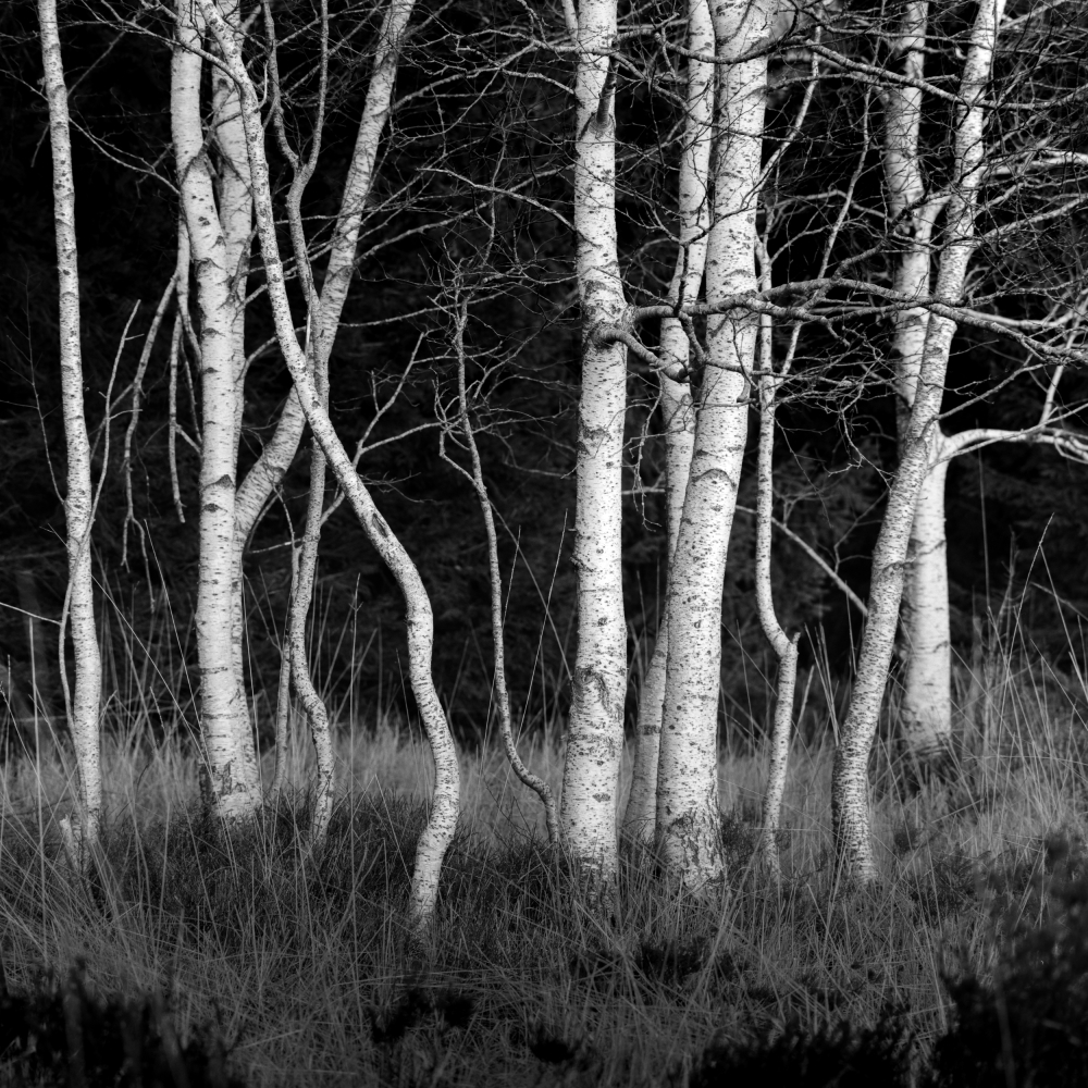 Analog Sparks fotópályázat #7