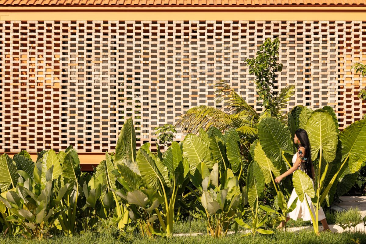 A ház, aminek az Amazonas a kertje #15