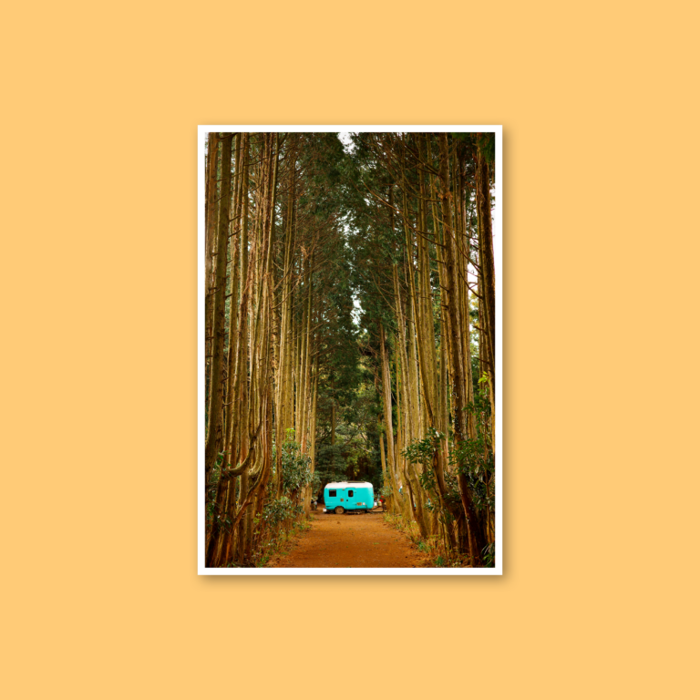 Sipos Balázs: Turquoise (Jeju Island, South Korea)