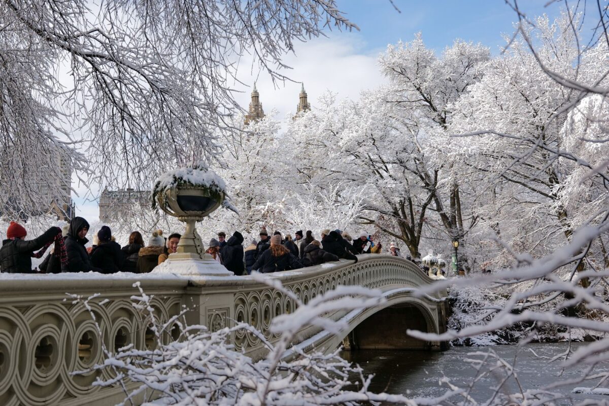 Az idei első hó New York-ban #1