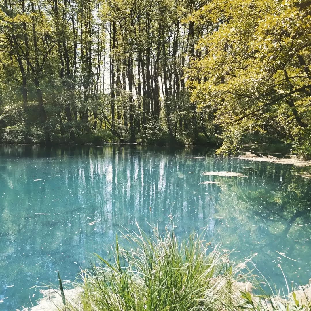 Menekülés a hőség elől #2